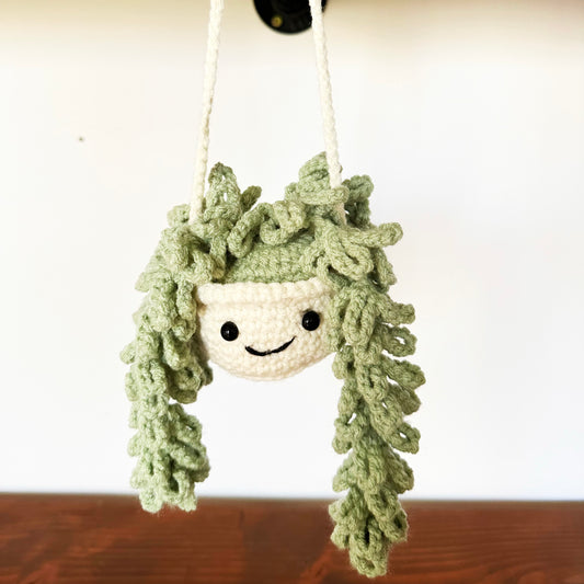 Double Sided-Smiley Face Hanging Plant